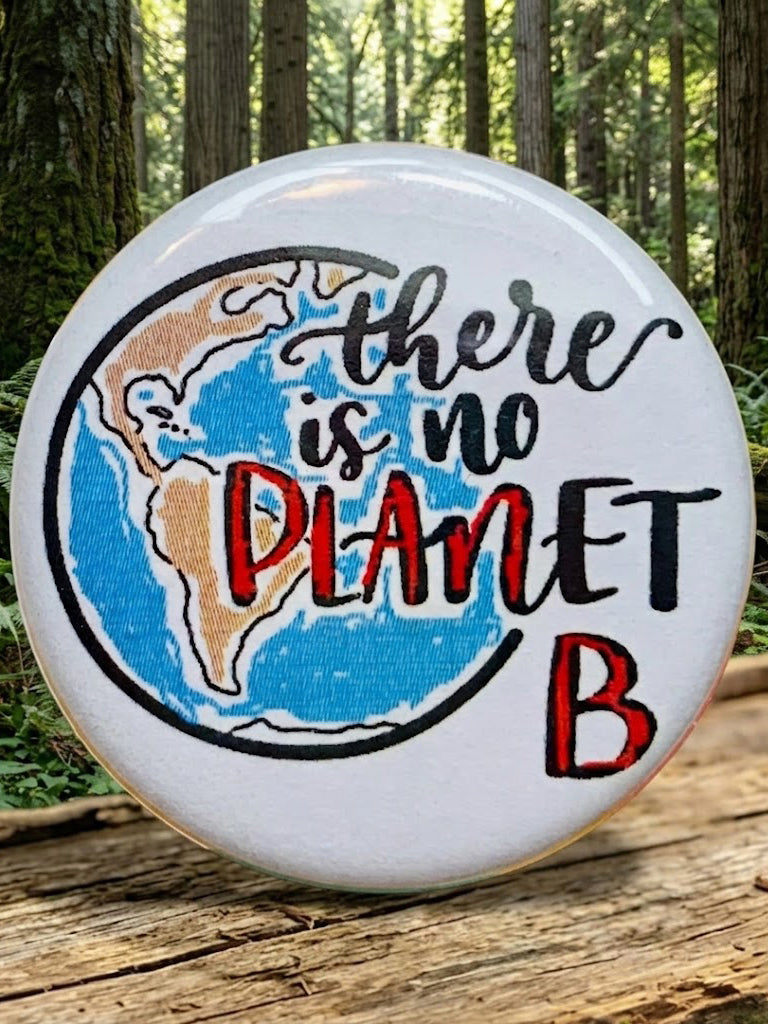 Es gibt keinen Planeten B Brosche